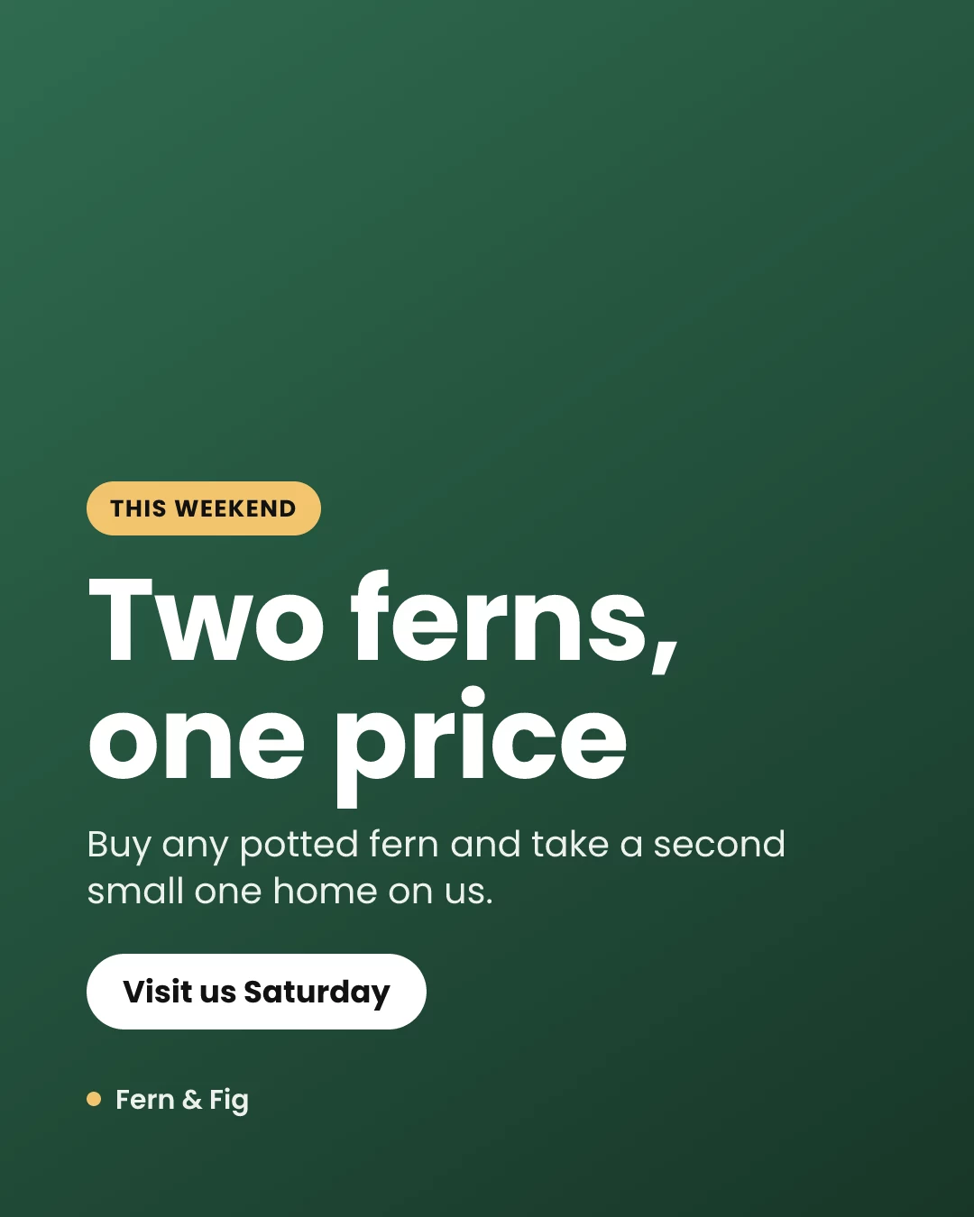 A 4:5 promo graphic for a fictional plant shop: a gold pill, the headline 'Two ferns, one price' and a Visit us Saturday button